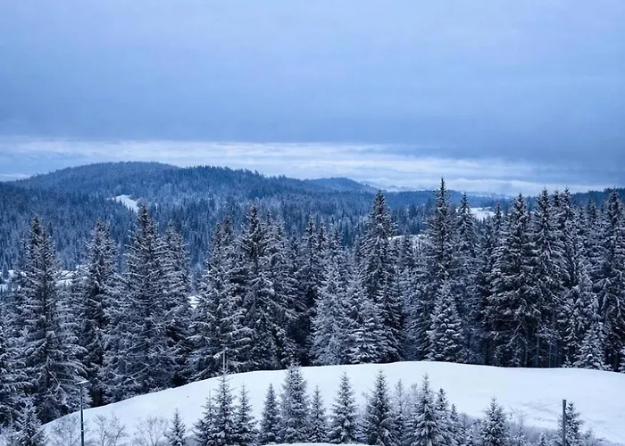 Bella Mila 亚霍里纳